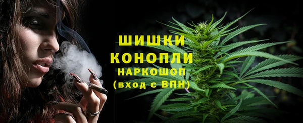 СК Заводоуковск